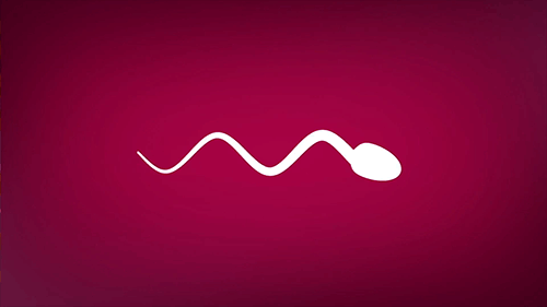 giphy3-bafbd7e28321381e46ef09b444d8218a.gif giphy3-bafbd7e28321381e46ef09b444d8218a.gif