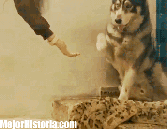 giphy315-7d6bf4d6ee923a69617e959112b8e745.gif giphy315-7d6bf4d6ee923a69617e959112b8e745.gif