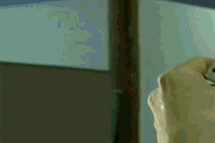 giphy32-ba6739198e7e68f0d5c849be88bdc83e.gif giphy32-ba6739198e7e68f0d5c849be88bdc83e.gif
