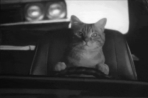 giphy39-77b3e251e6d60a45b4ddce974de778ae.gif giphy39-77b3e251e6d60a45b4ddce974de778ae.gif