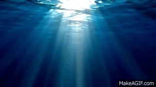 giphy42-c4d2a0ef4bc78e133f16f01a098dedca.gif giphy42-c4d2a0ef4bc78e133f16f01a098dedca.gif