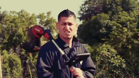 giphy50-a4e17a3bc7a093811d28cbe2e5f441cf.gif giphy50-a4e17a3bc7a093811d28cbe2e5f441cf.gif