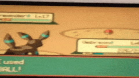 giphy7-54a1b2de9943c5b3851a4e4f5cbedf01.gif giphy7-54a1b2de9943c5b3851a4e4f5cbedf01.gif