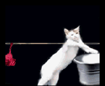 giphy7-7b609115ca82ba69f946bd25707a6306.gif giphy7-7b609115ca82ba69f946bd25707a6306.gif