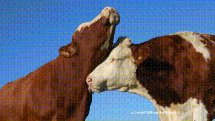 giphy76-6346d06e299b5614e38490c83935a28a.gif giphy76-6346d06e299b5614e38490c83935a28a.gif