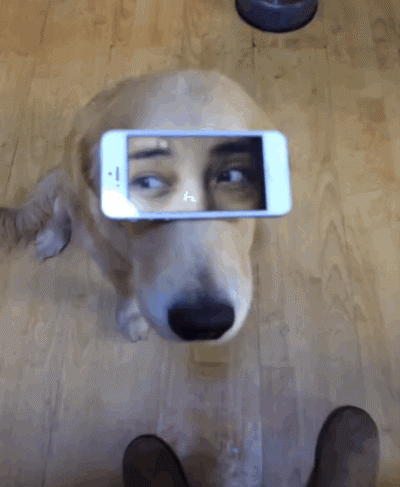 giphy8-bcc9d6a61f5ca6ed7d1c687cd87b1523.gif giphy8-bcc9d6a61f5ca6ed7d1c687cd87b1523.gif