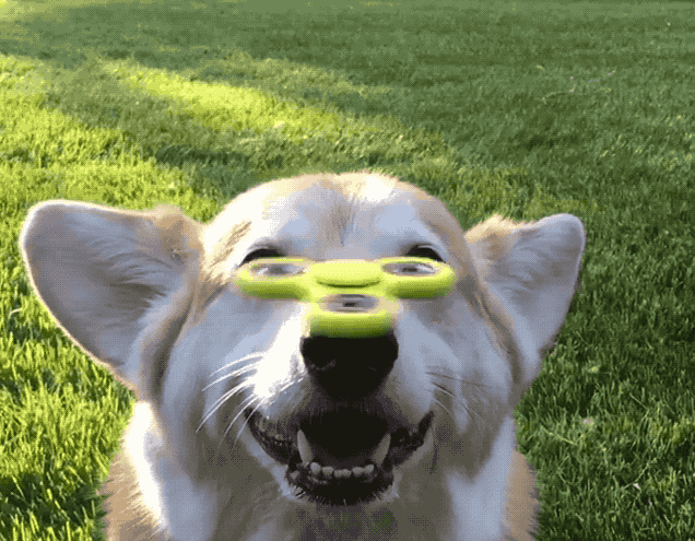 giphy87-827e01e6b394f61c4c3afee646fd8b2c.gif giphy87-827e01e6b394f61c4c3afee646fd8b2c.gif