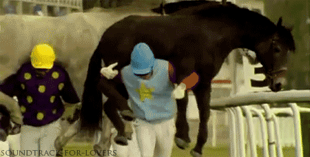 giphy9-a6d4f390f1372e66fe84f749da2ef39b.gif giphy9-a6d4f390f1372e66fe84f749da2ef39b.gif
