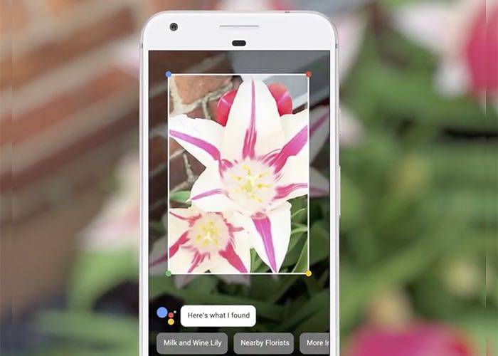 googlelens3-47e6c6de5c9df7b07447068aba02a60d.jpg googlelens3-47e6c6de5c9df7b07447068aba02a60d.jpg