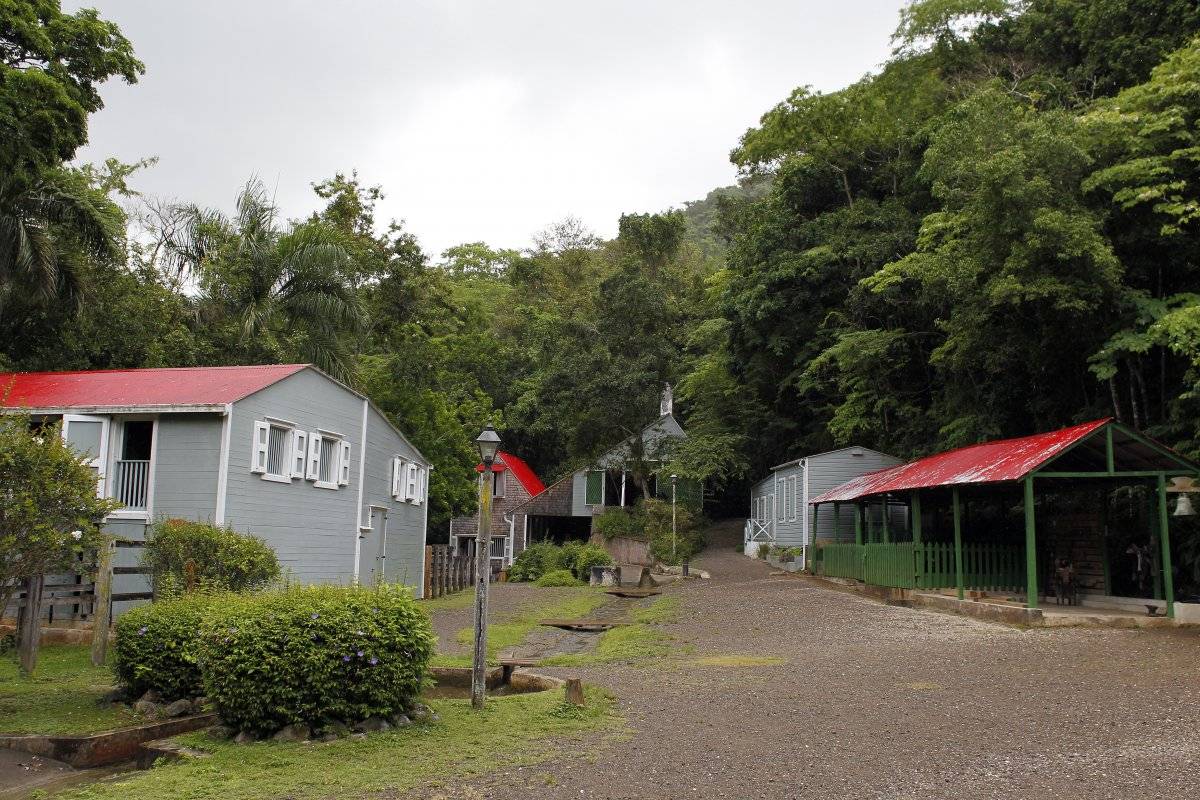 haciendabuenavistaponceparalanaturaleza-86c4fc844ea62b4cb05a4daab161027f.jpg