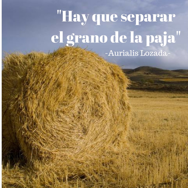 haysequesepararelgranodelapaja-d78e0a95bc770c3b82365a0e8eaeb569.jpg haysequesepararelgranodelapaja-d78e0a95bc770c3b82365a0e8eaeb569.jpg