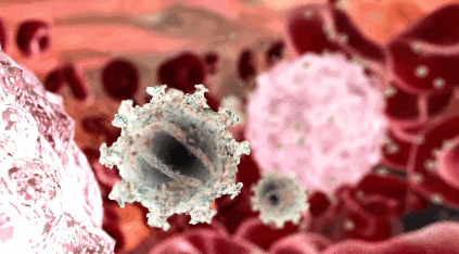 hiv-bd99bf497406620ae14595aab0c3dffd.gif hiv-bd99bf497406620ae14595aab0c3dffd.gif