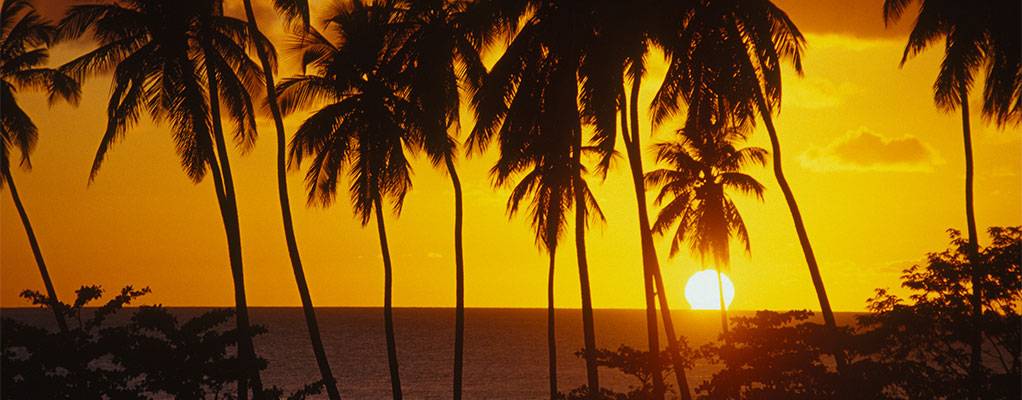 issunset-436a922c38c2ed375ee762be1bd317dc.jpg issunset-436a922c38c2ed375ee762be1bd317dc.jpg
