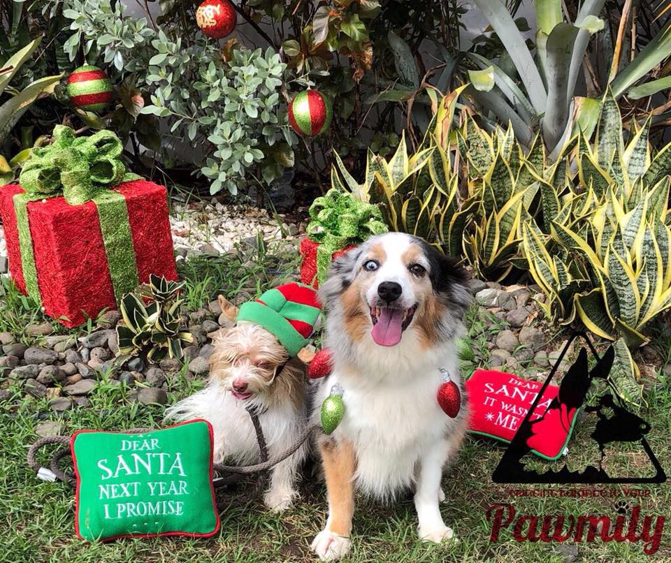 jailenemascotasennavidad03-a69f10d3ce4d3b3e3128a87657909ec7.jpg jailenemascotasennavidad03-a69f10d3ce4d3b3e3128a87657909ec7.jpg