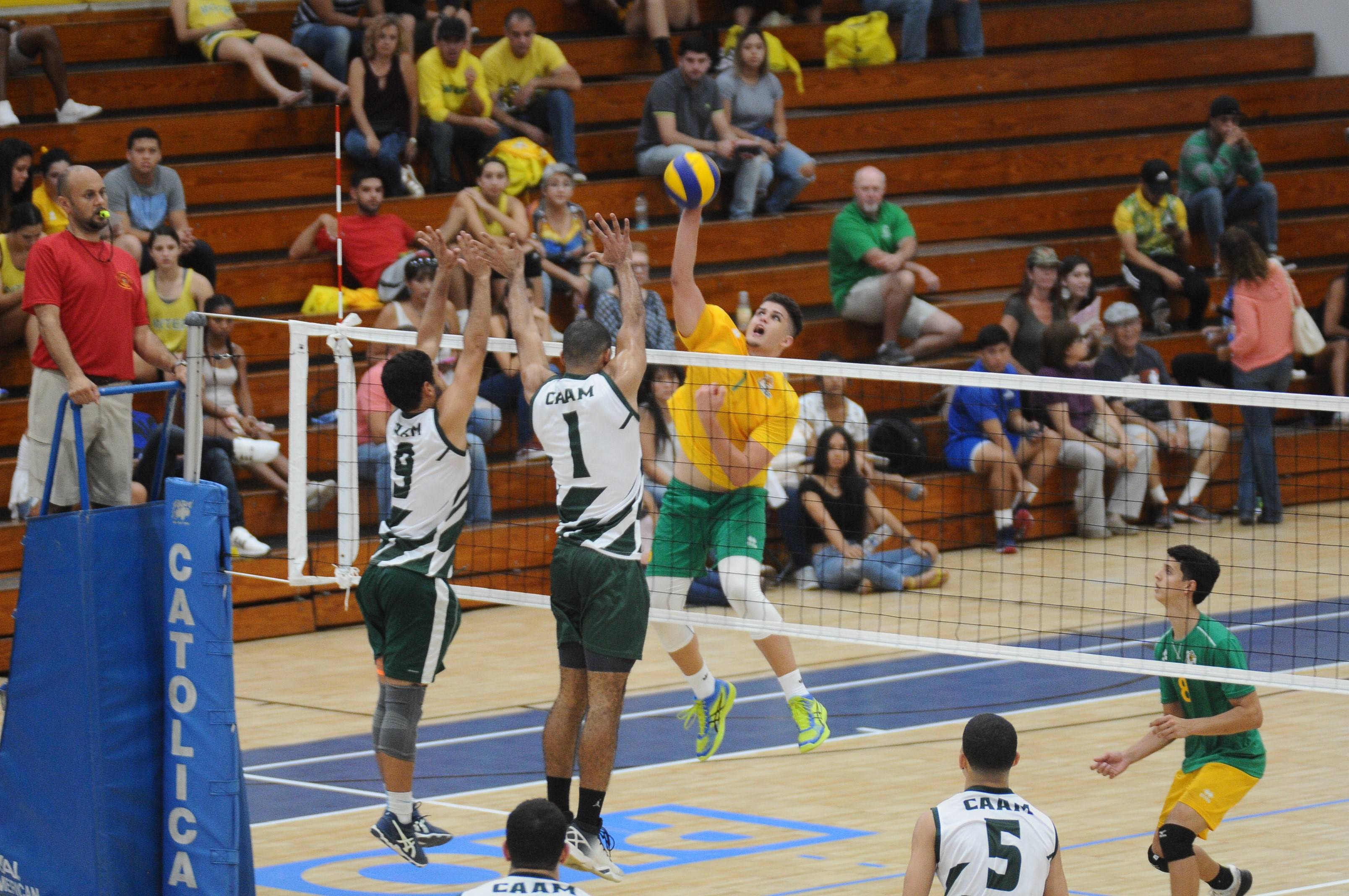 launiversidadinteramericanaleganaronalcolegioenambasramasenlacontinuaciondelvoleibollminguelalai-8b3f7a51a59f81e708f6a5b283924eab.jpg launiversidadinteramericanaleganaronalcolegioenambasramasenlacontinuaciondelvoleibollminguelalai-8b3f7a51a59f81e708f6a5b283924eab.jpg