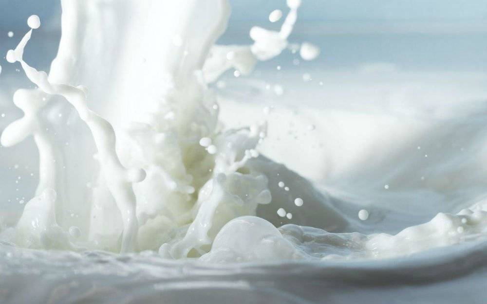 leche-99aee5a0d2b2b979eae2e87384a3a779.jpg