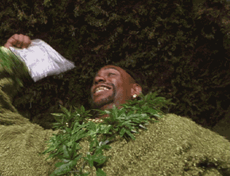 marihuana-8ee8e3dc03f21c50444306c08bff87d9.gif marihuana-8ee8e3dc03f21c50444306c08bff87d9.gif