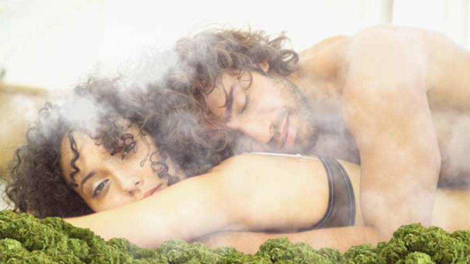 marihuana960x623-57198966166a24b2e33b69c2f641e054.jpg marihuana960x623-57198966166a24b2e33b69c2f641e054.jpg