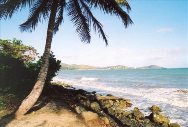 playadenaguabopr568b4318d9e14251a0d59837dfa1a3a8-39bb5dbd42d1f76e7e1490e1fa6f77a7.jpg playadenaguabopr568b4318d9e14251a0d59837dfa1a3a8-39bb5dbd42d1f76e7e1490e1fa6f77a7.jpg
