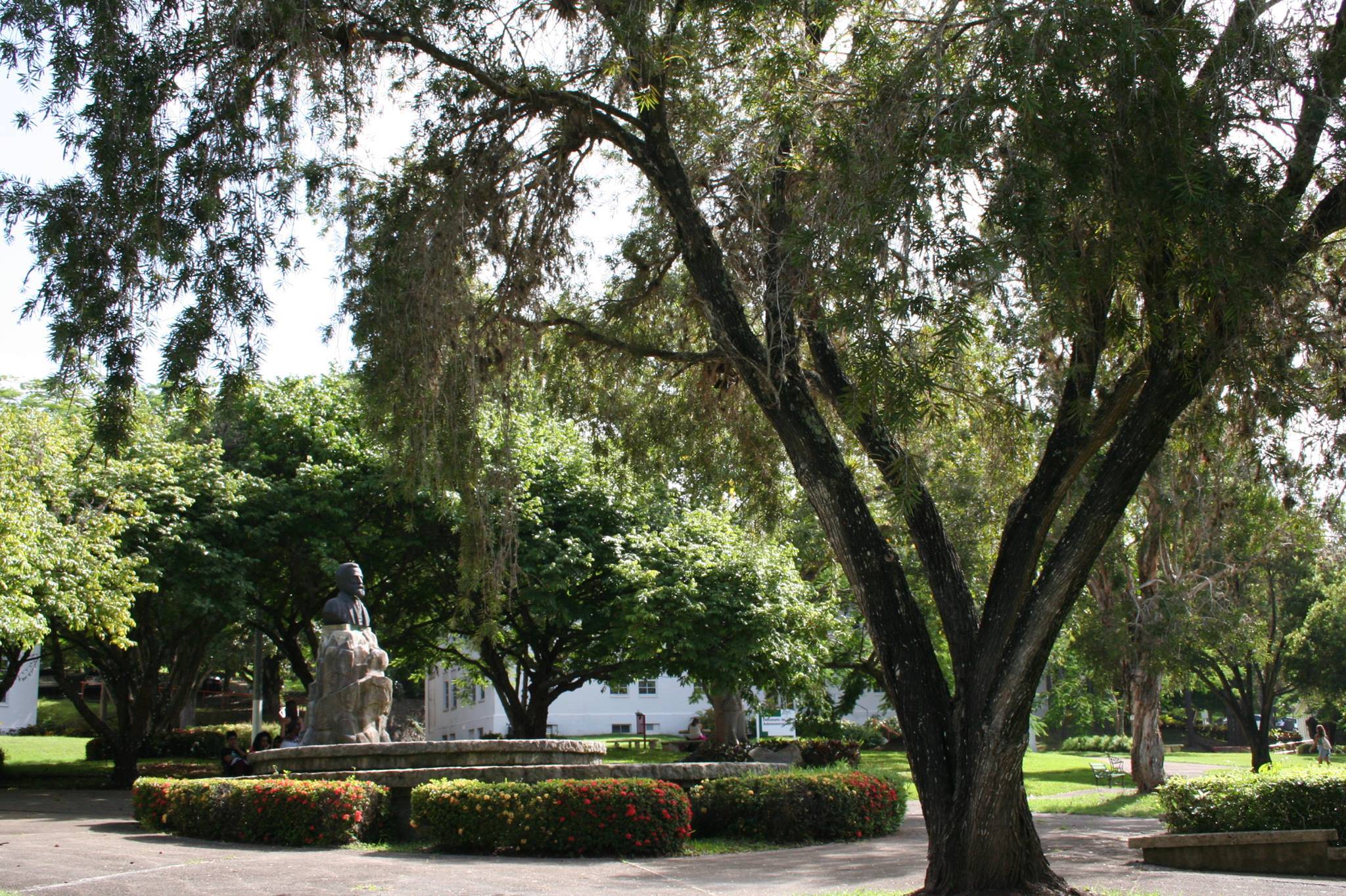 plazaagustinstahlenuprcayey1-d0f760468629ea32b725a828393448ae.jpg plazaagustinstahlenuprcayey1-d0f760468629ea32b725a828393448ae.jpg
