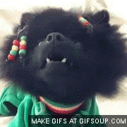 rastadogo-73edb181ceaff497850436412f152acb.gif rastadogo-73edb181ceaff497850436412f152acb.gif