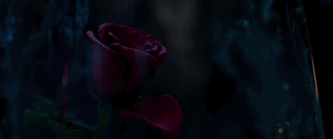 source4-8c429bffbb98bee9303d7ce73ef6d33a.gif source4-8c429bffbb98bee9303d7ce73ef6d33a.gif