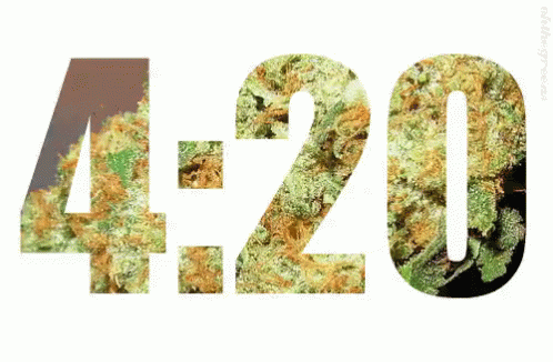 tenor3-5245a70ce0f7bc8e7da6d1ff13755484.gif tenor3-5245a70ce0f7bc8e7da6d1ff13755484.gif