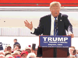 trumpasustao-ba39a41cebec5b769c5944cc58166129.gif trumpasustao-ba39a41cebec5b769c5944cc58166129.gif