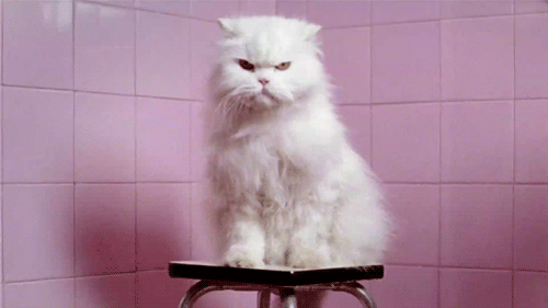 tumblrom3dmotb5s1w5am6uo1500-7e617ba1d969312618e0d4e04ed6b03f.gif tumblrom3dmotb5s1w5am6uo1500-7e617ba1d969312618e0d4e04ed6b03f.gif