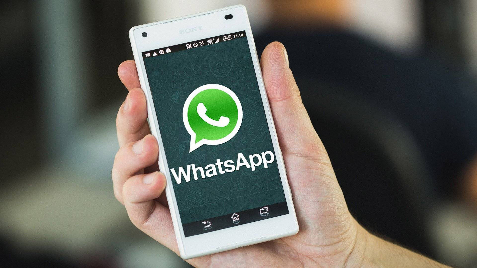whatsapp216118-07c9cacfb38031f8d6dfb3e48e0eb1e9.jpg whatsapp216118-07c9cacfb38031f8d6dfb3e48e0eb1e9.jpg
