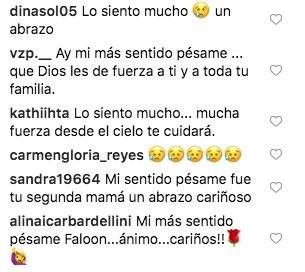 Faloon Larraguibel