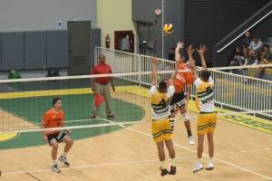 img9532-0bddfb8f37c0ab348d386c3b22b78f11.jpg img9532-0bddfb8f37c0ab348d386c3b22b78f11.jpg