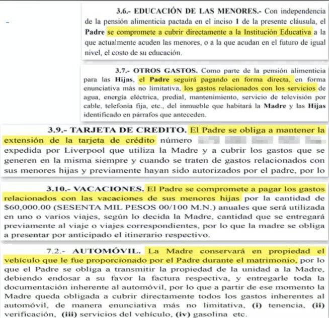 Acuerdo divorcio Gabriel Soto