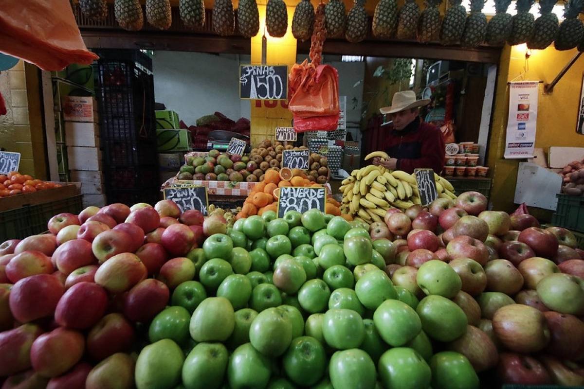 Frutas y verduras en las ferias libres son más baratas que un kilo de pan sostiene ministro de
