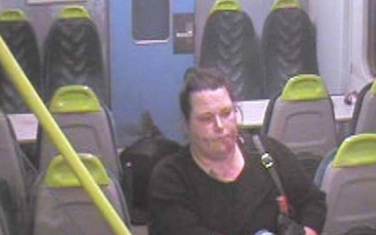 Una mujer apuñala con saña durante cuatro minutos a una amiga en un tren en el Reino Unido