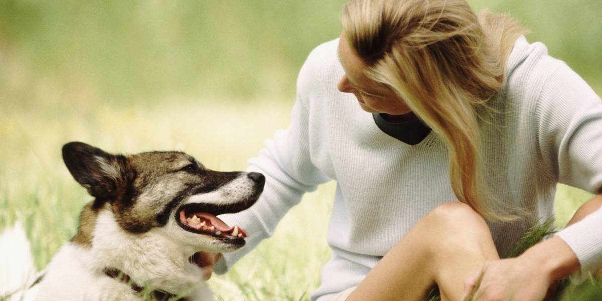 Tu perro te quiere tanto que se esfuerza mucho por entenderte