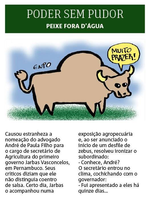 poder sem pudor