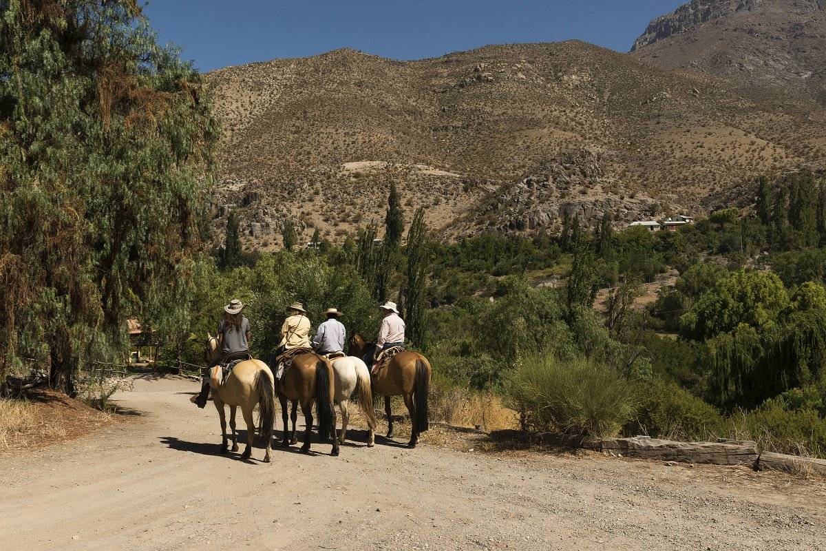 Valle del Elqui