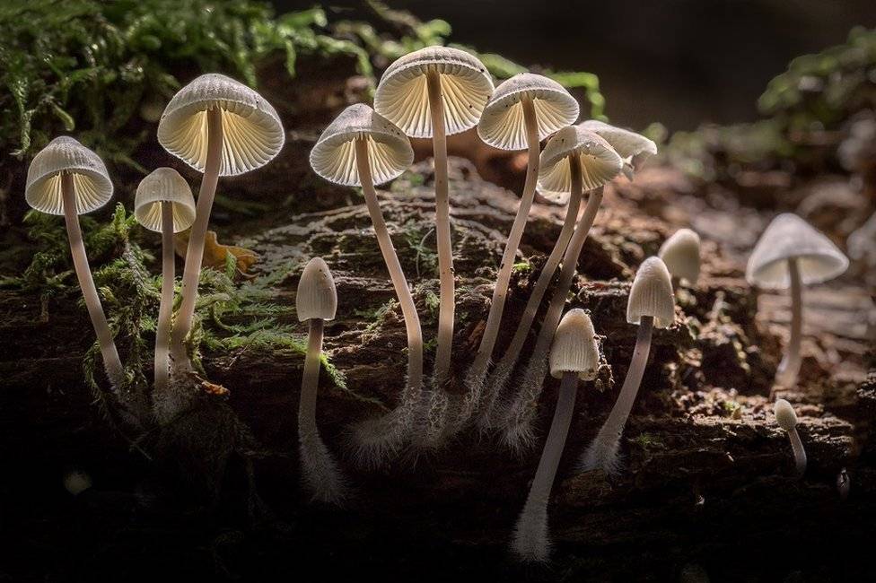 1038698933agettyimages897594474-4fe7c39ed48a0c5ba3725e2ce19b0cda.jpg