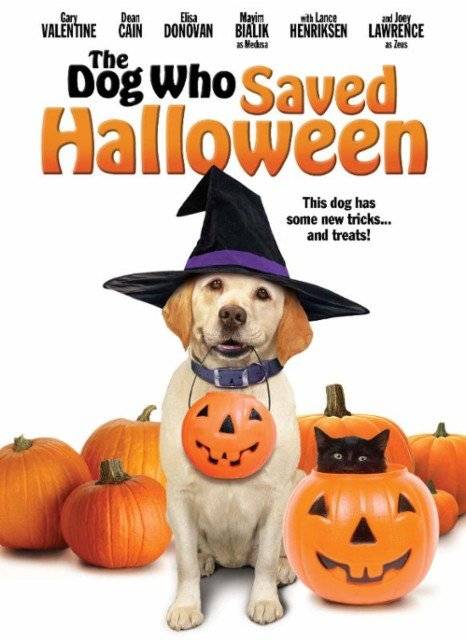El perro que salvó el halloween