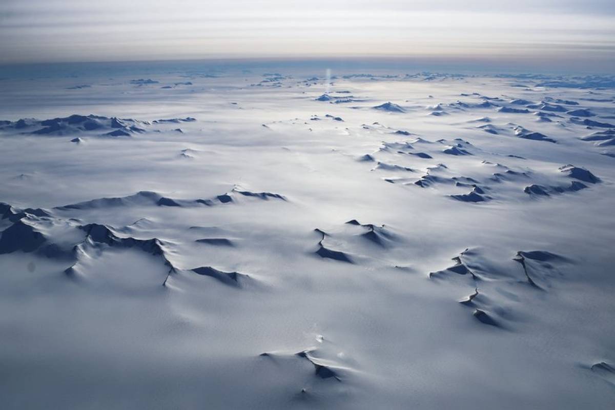 Antártica