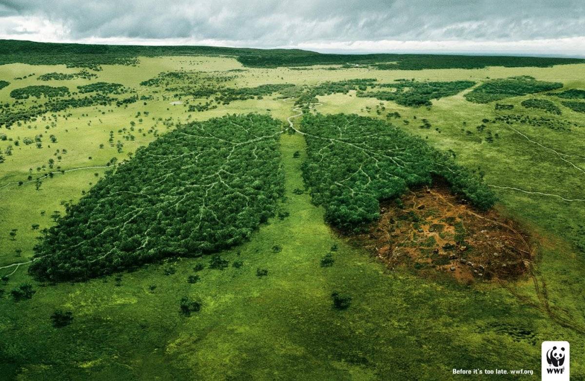 planeta
