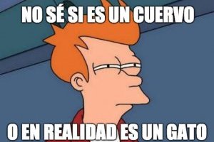 Gato o cuervo