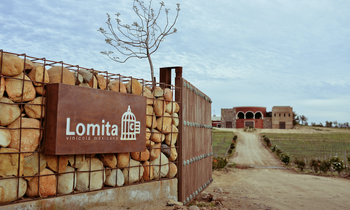 Un recorrido de 72 horas por el Valle de Guadalupe que te encantará