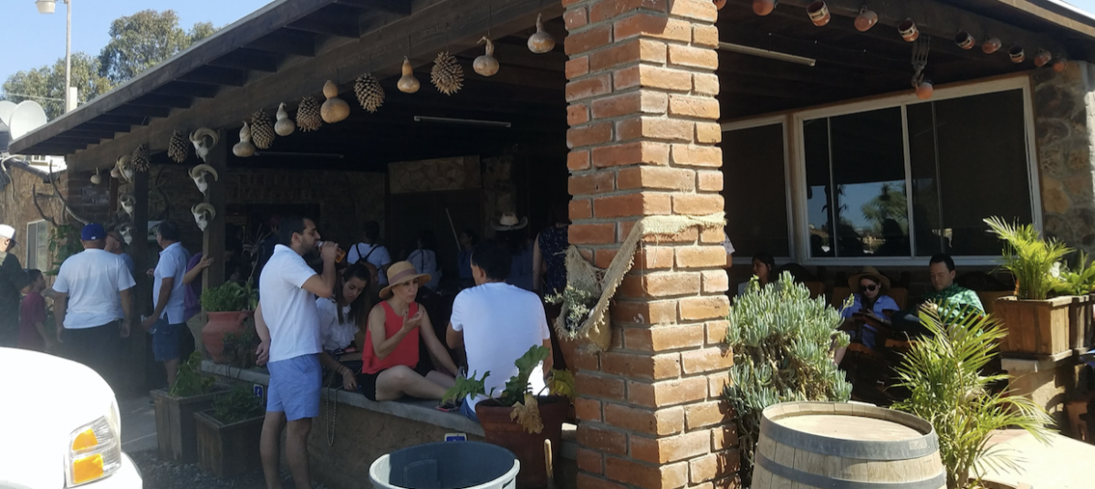 Un recorrido de 72 horas por el Valle de Guadalupe que te encantará