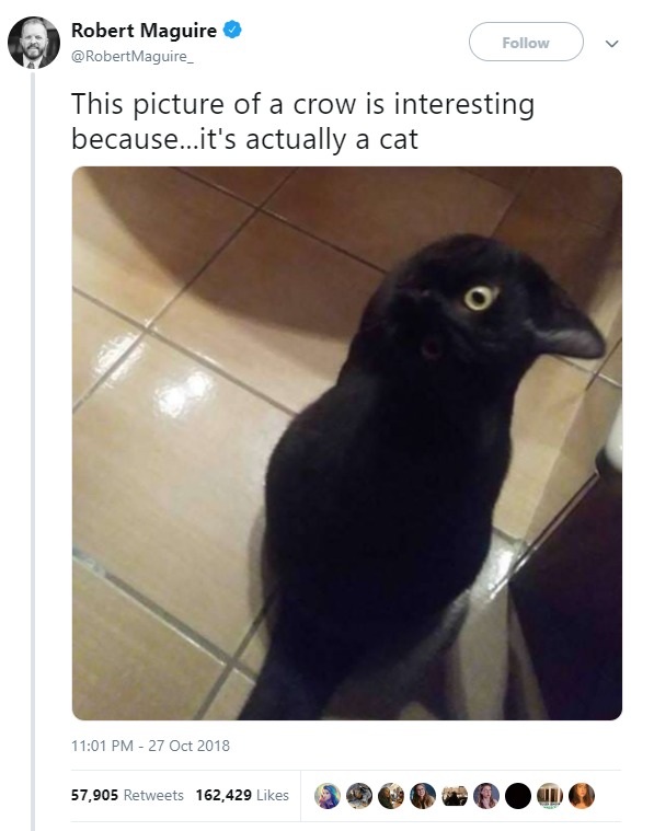 1 1