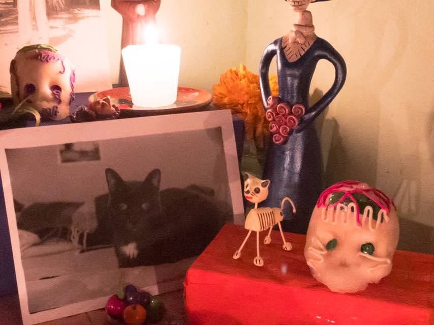 Buscan que el 3 de noviembre sea el día para conmemorar a las mascotas muertas