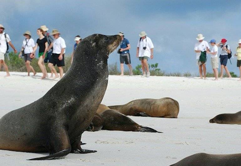 Turismo hizo crecer en exceso la población en Islas Galápagos, según experto