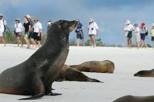 Turismo hizo crecer en exceso la población en Islas Galápagos, según experto