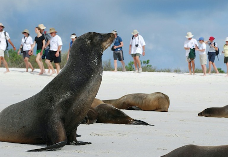 Turismo hizo crecer en exceso la población en Islas Galápagos, según experto Turismo hizo crecer en exceso la población en Islas Galápagos, según experto